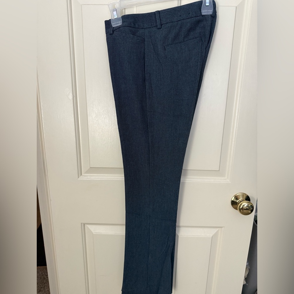 Express Columnist Dress Pants